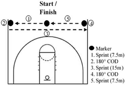 Impact of Hypoventilation Training on Muscle Oxygenation, Myoelectrical Changes, Systemic [K+], and Repeated-Sprint Ability in Basketball Players